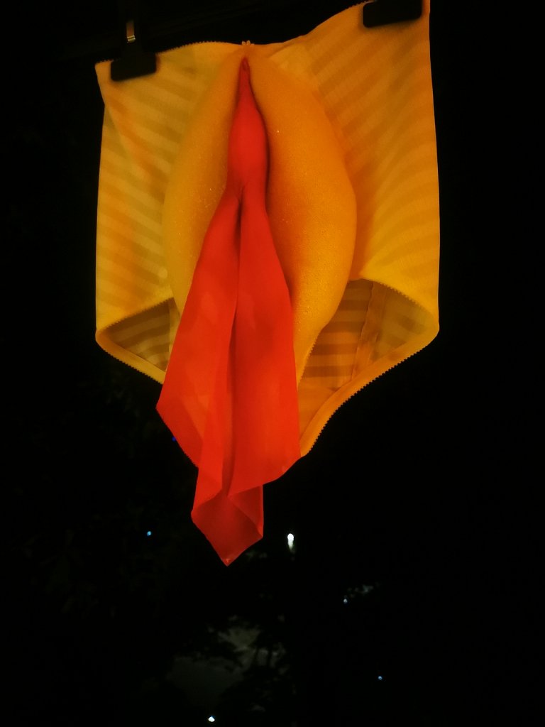 VAGINA PANTIES in process <br> 2022